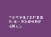 解密“羊小咩app”，变现的方式（购物、虚拟充值、代付、专业回收商家）都有什么区别呢？