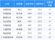 最年轻的34位保险公司总经理 80后有6位