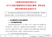 少见！上任仅3个月，独立董事集体辞职