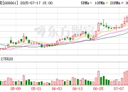 国投资本：石澜辞去公司董事职务