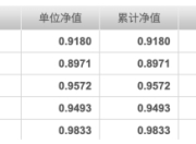 封闭期结束净值接连重挫，建仓节奏成谜，申万菱信行业精选混合基金陷“过山车式”开局