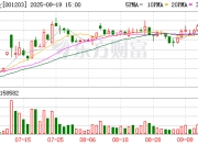 大中矿业：2025年上半年四川加达锂矿首采区2.056平方公里的资源量完成自然资源部评审备案