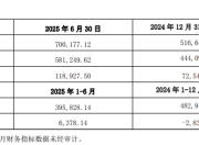 富临精工携手宁德时代向江西升华增资35.6亿元