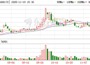 燕东微：股东国家集成电路基金和京国瑞拟合计减持不超2.5%公司股份