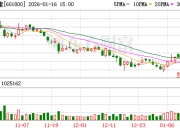 中国交建：公司将根据市场情况，稳步推进包括欧盟在内的海外市场布局