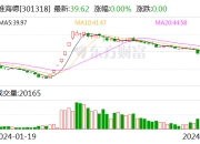 维海德：2024年第一季度净利润2192.79万元 同比增长9.38%
