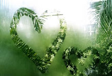 房县黄酒的酿造工艺与步骤（2024详细教程）