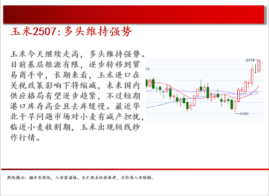 中天期货:棉花重新走弱 棕榈探底回升 第7张