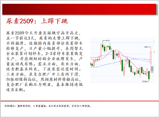 中天期货:棉花重新走弱 棕榈探底回升 第15张