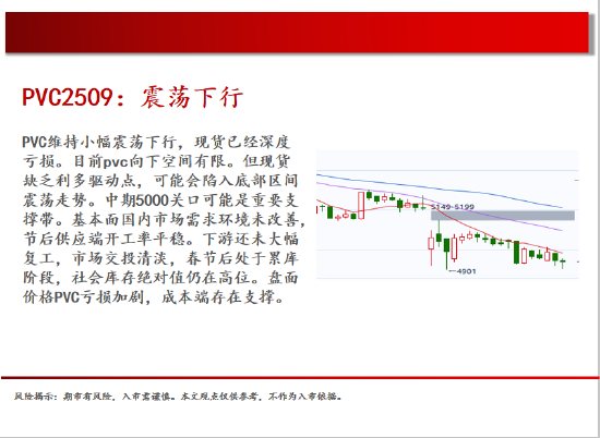 中天期货:棉花重新走弱 棕榈探底回升 第17张